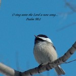 sing to the Lord