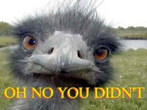 no you did not