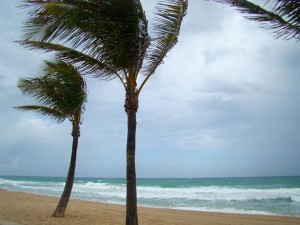 windy day