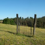 gate without fence