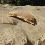 bread over dirt