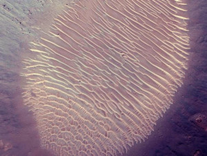 God's fingerprints