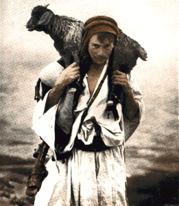 carry sheep'