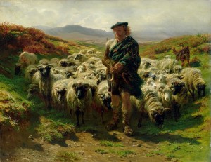 shepherd