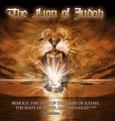 lion-of-judah